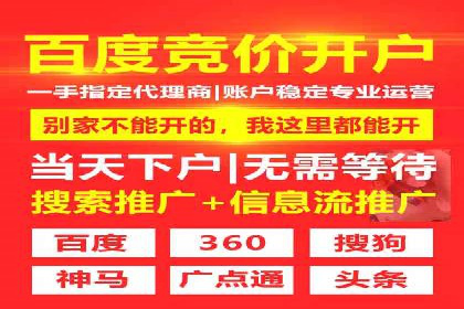 某品牌通过SEM优化实现品牌增长的故事